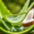 Aloes w kosmetykach naturalnych – właściwości i zastosowanie